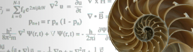 Image of a seashell on a background of mathematical formulae